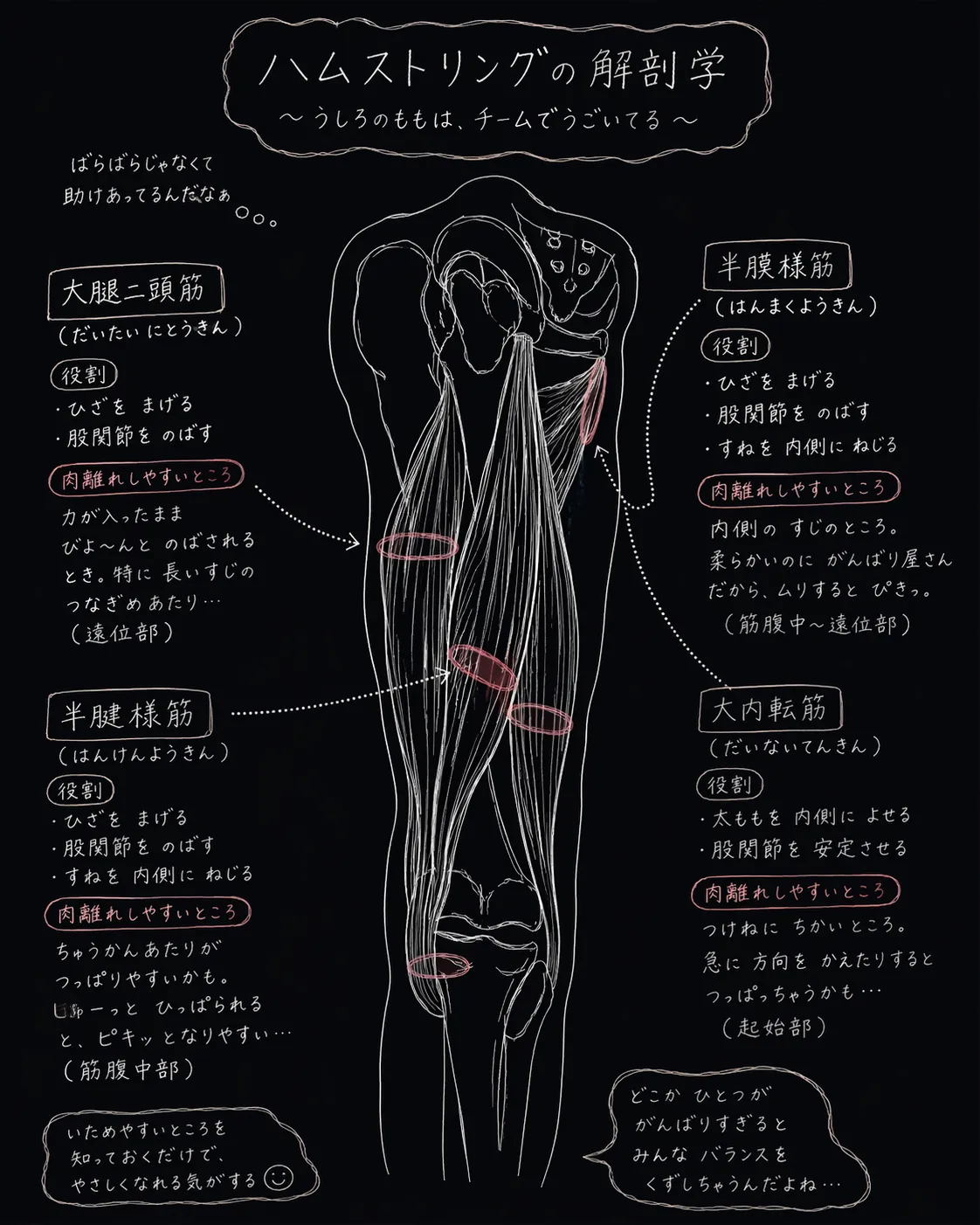 ハムストの肉離れ後のピラティス